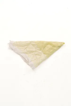 Full Of Vibrance Scarf - Lime